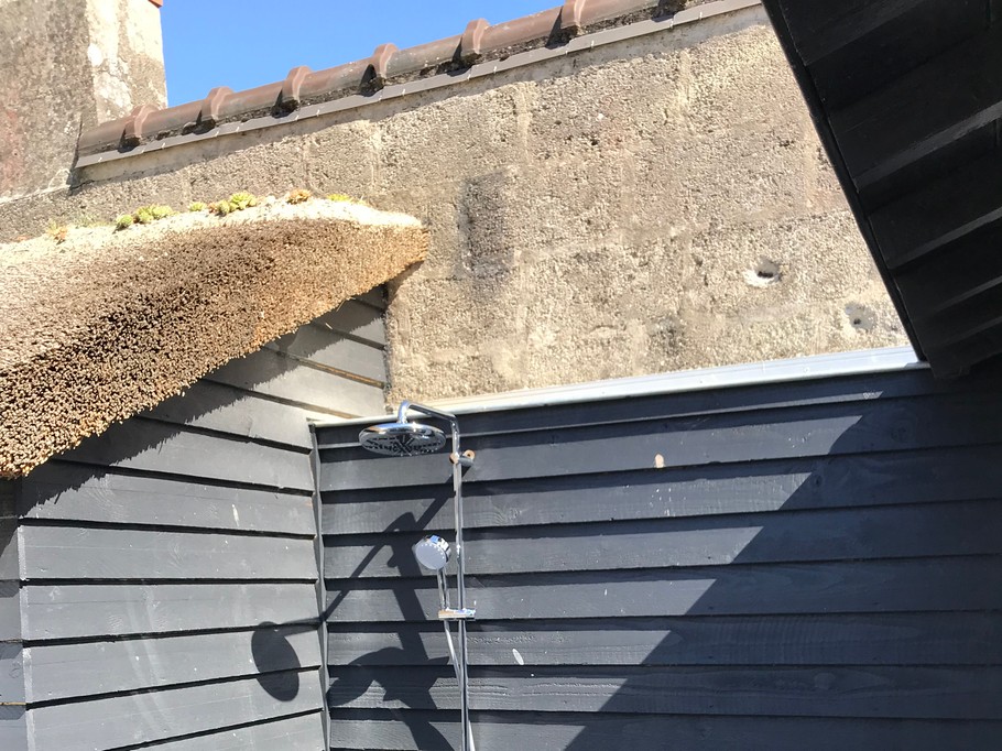 Photo n° 13 de la location