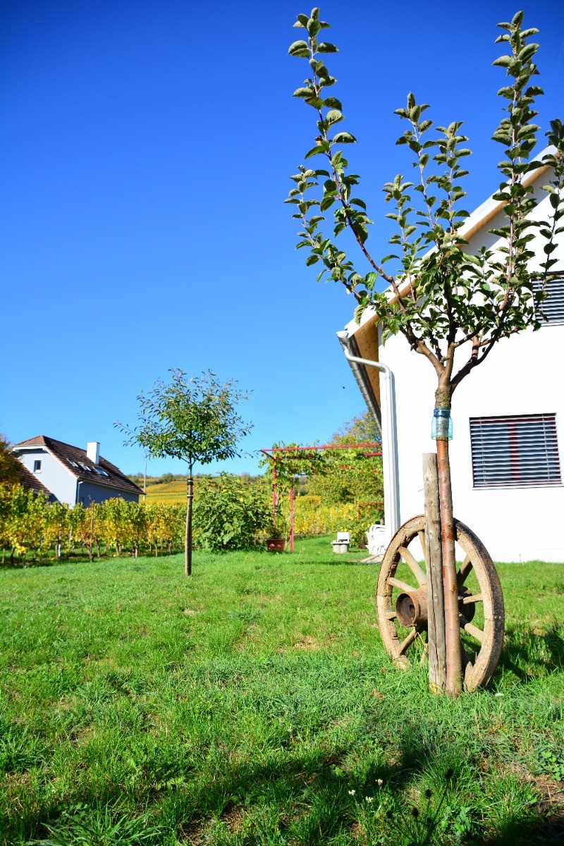 Photo n° 6 de la location