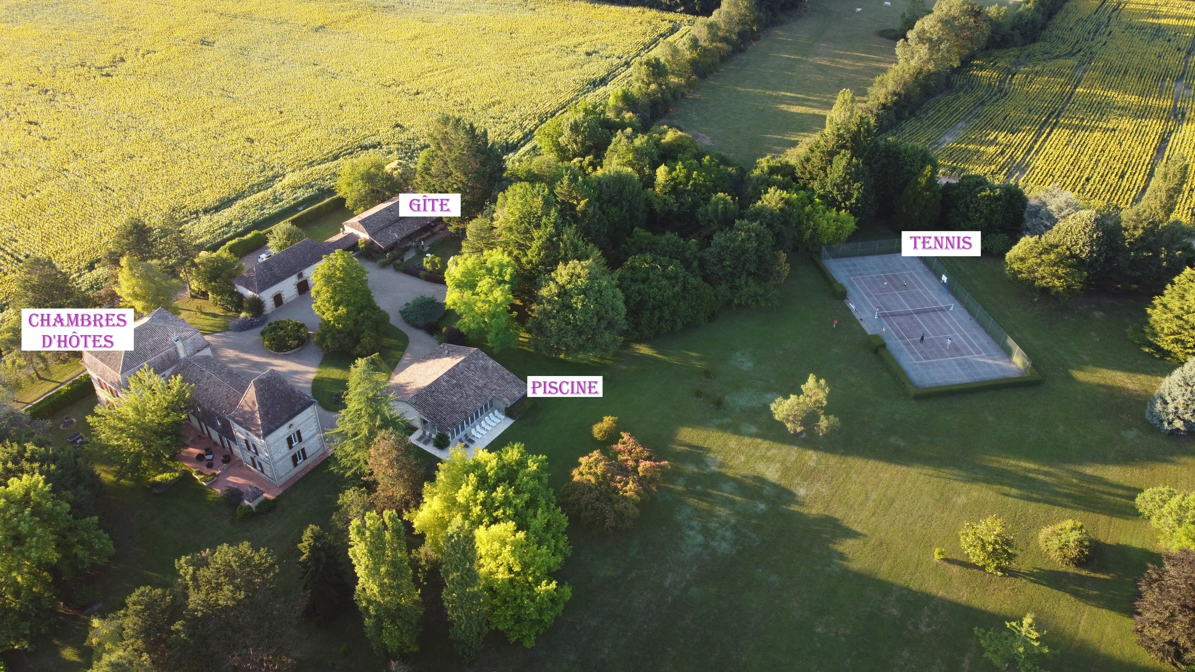 Photo n° 18 de la location