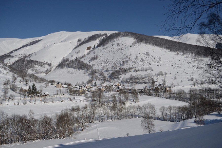 mayregne