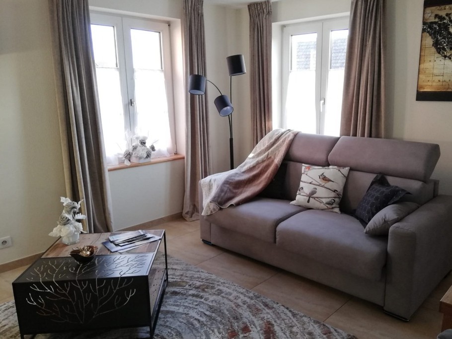 Salon avec canape convertible