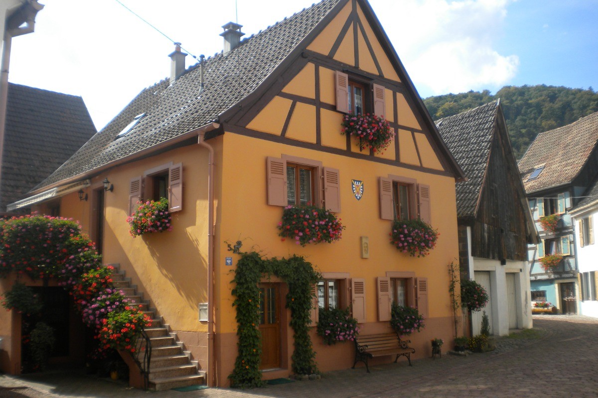 Photo n° 13 de la location
