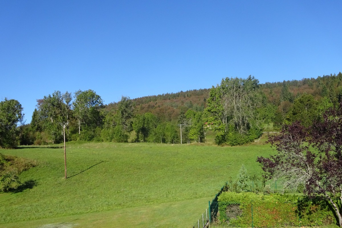Vue depuis terrasse