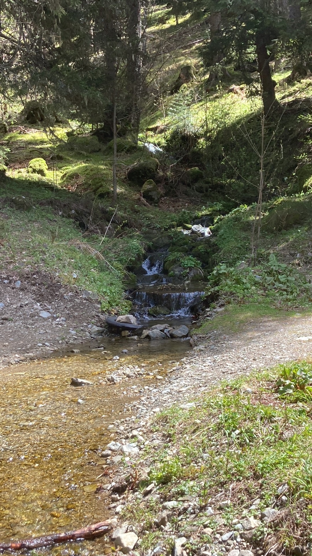 Photo n° 15 de la location