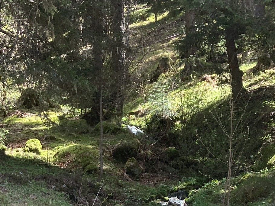 Photo n° 15 de la location