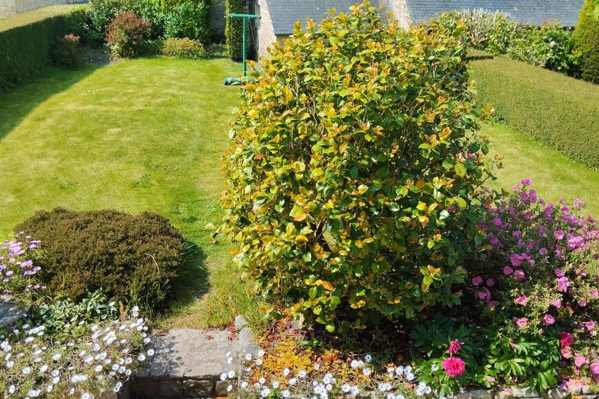 Vue du haut de l'escalier