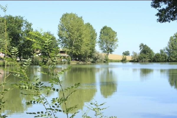 Photo n° 14 de la location