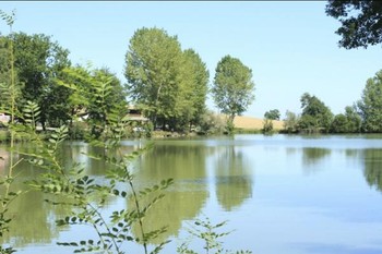 Photo n° 14 of the location