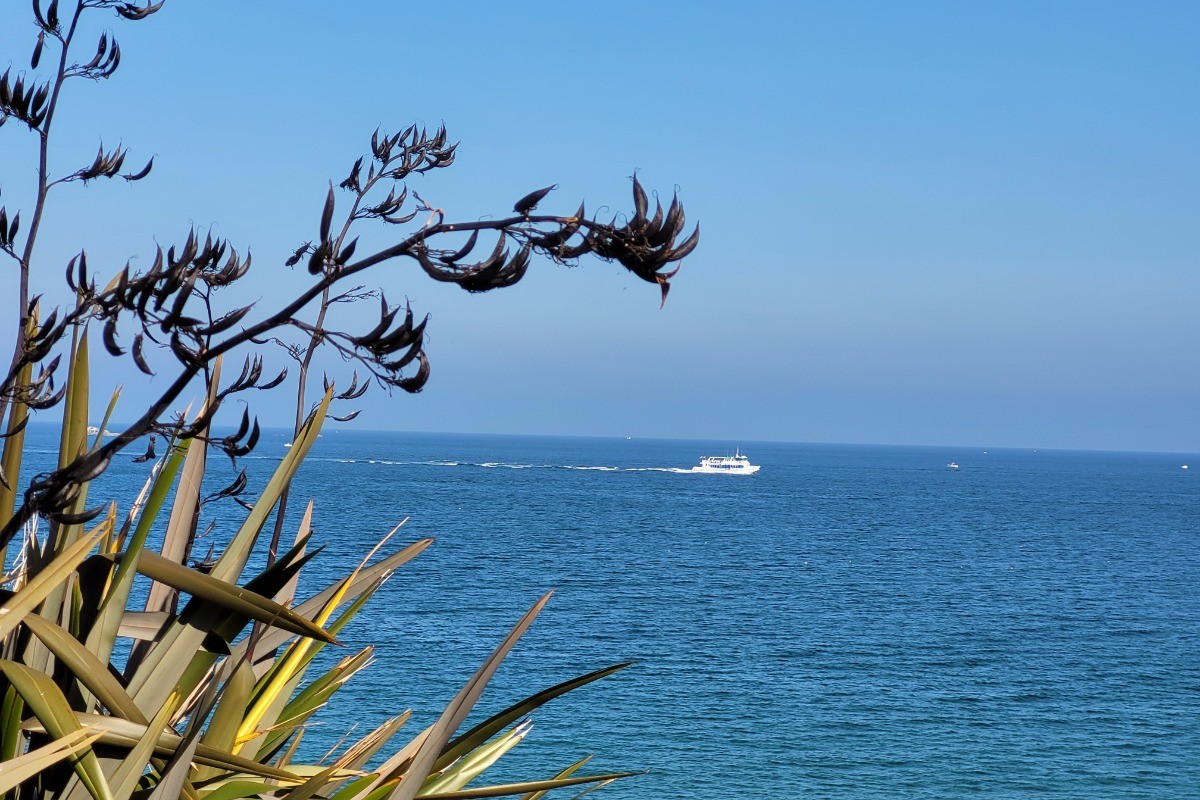 Photo n° 15 of the location