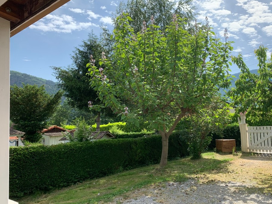 Photo n° 12 de la location