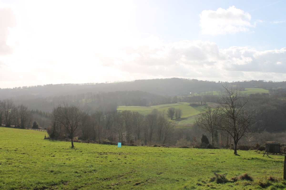 VUE  SUR  LA  CAMPAGNE