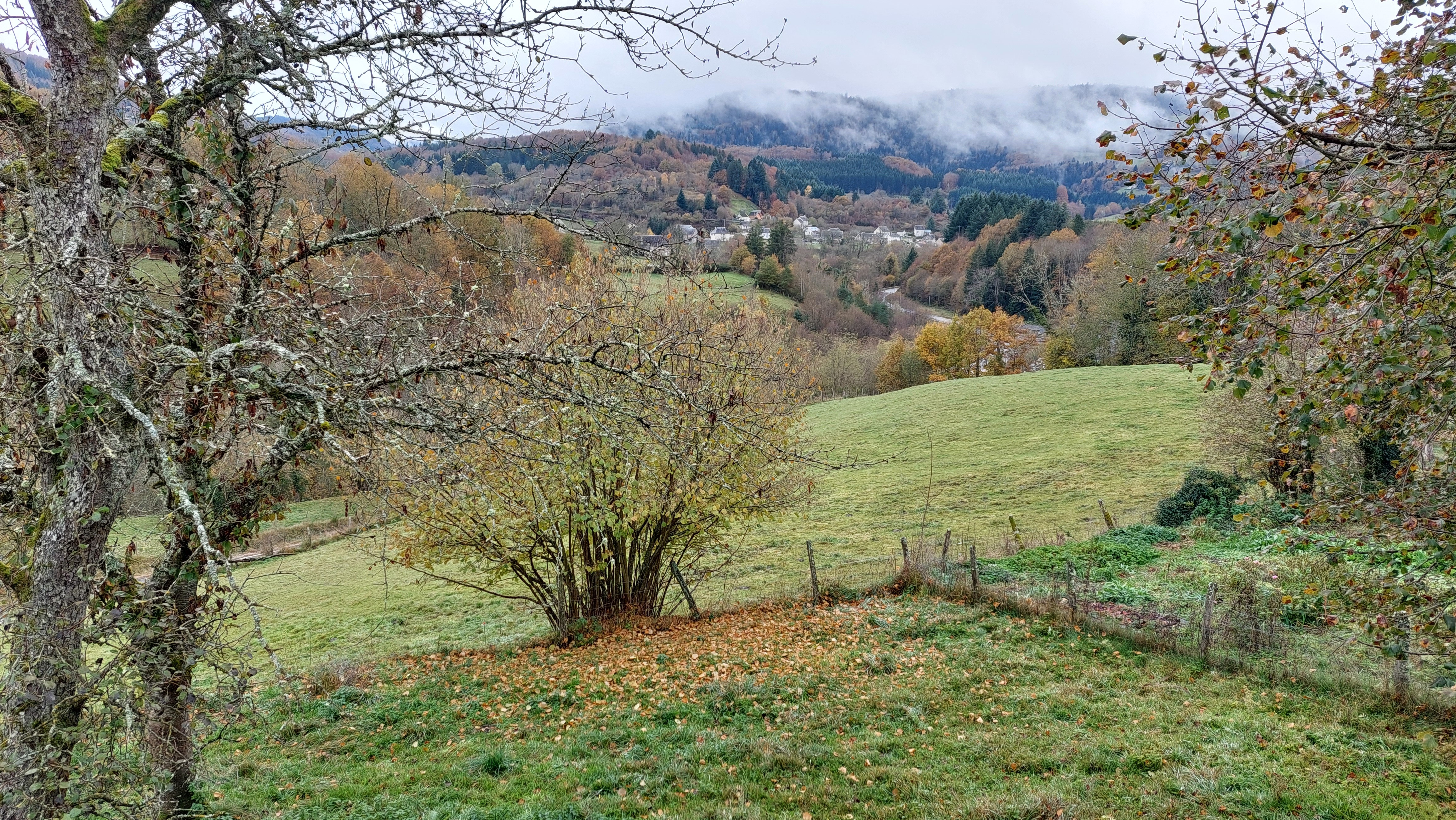 Photo n° 20 de la location