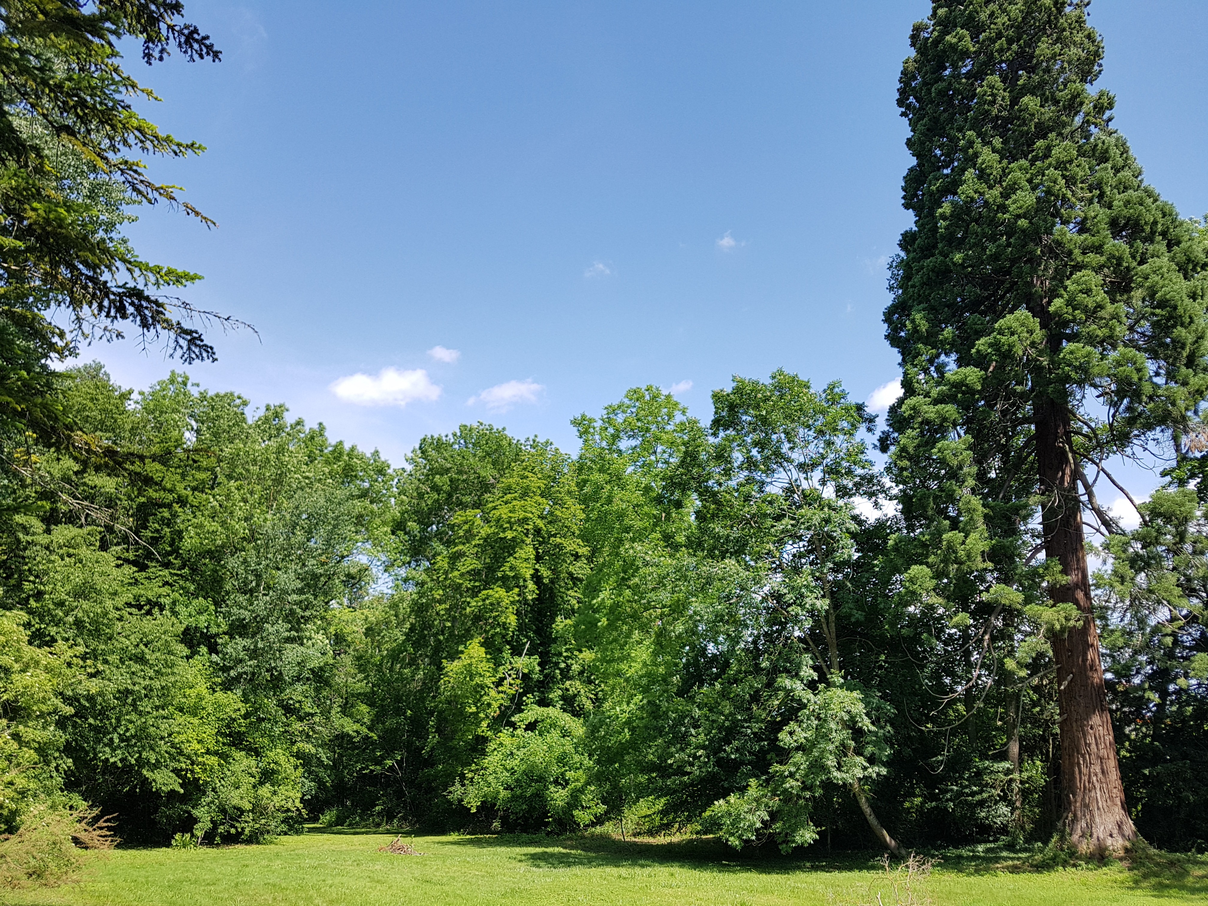 Parc