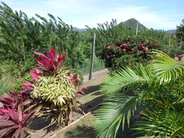 Image n° 2 de la location