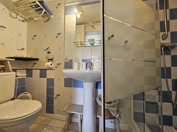 Salle d'eau avec douche et WC