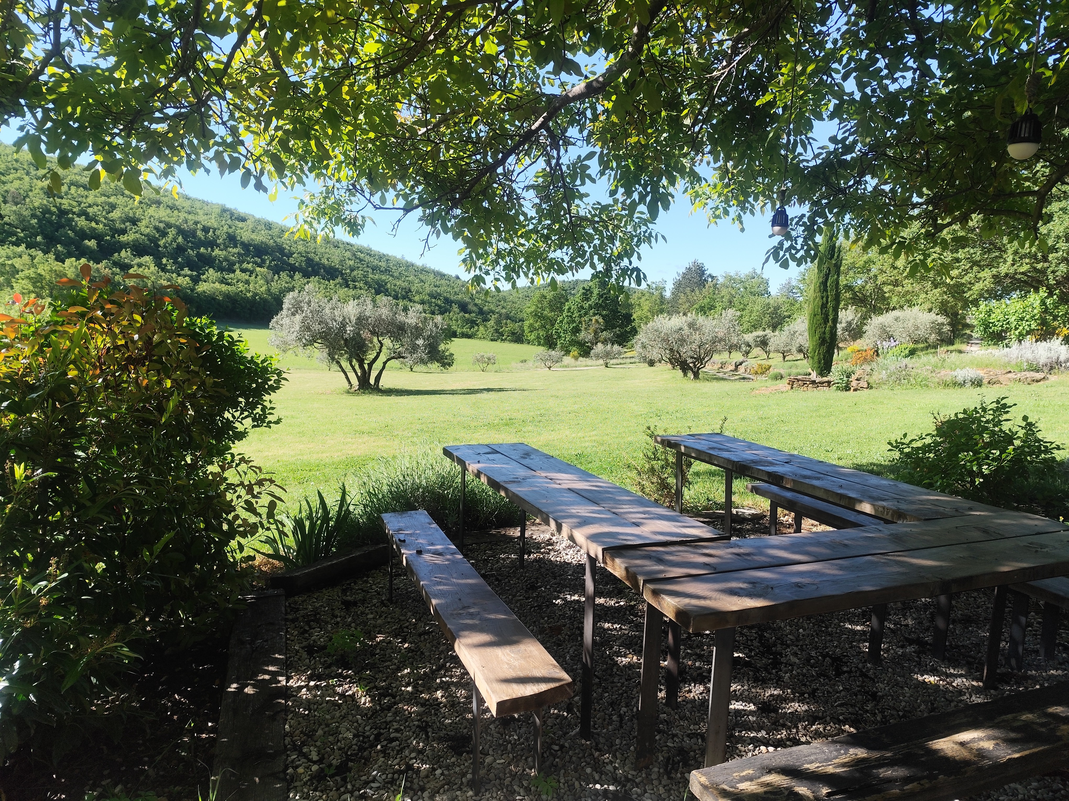 Table sous le noyer