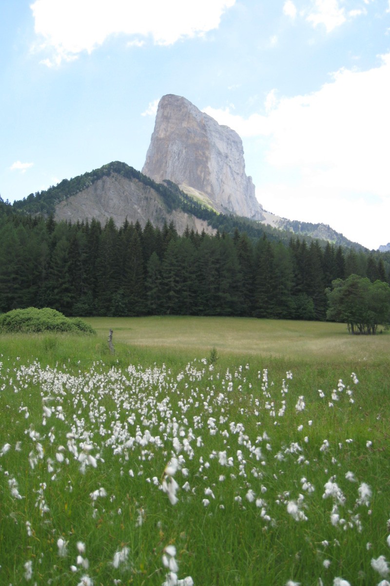 LE MONT AIGUILLE