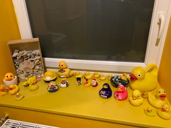 Photo n° 17 de la location