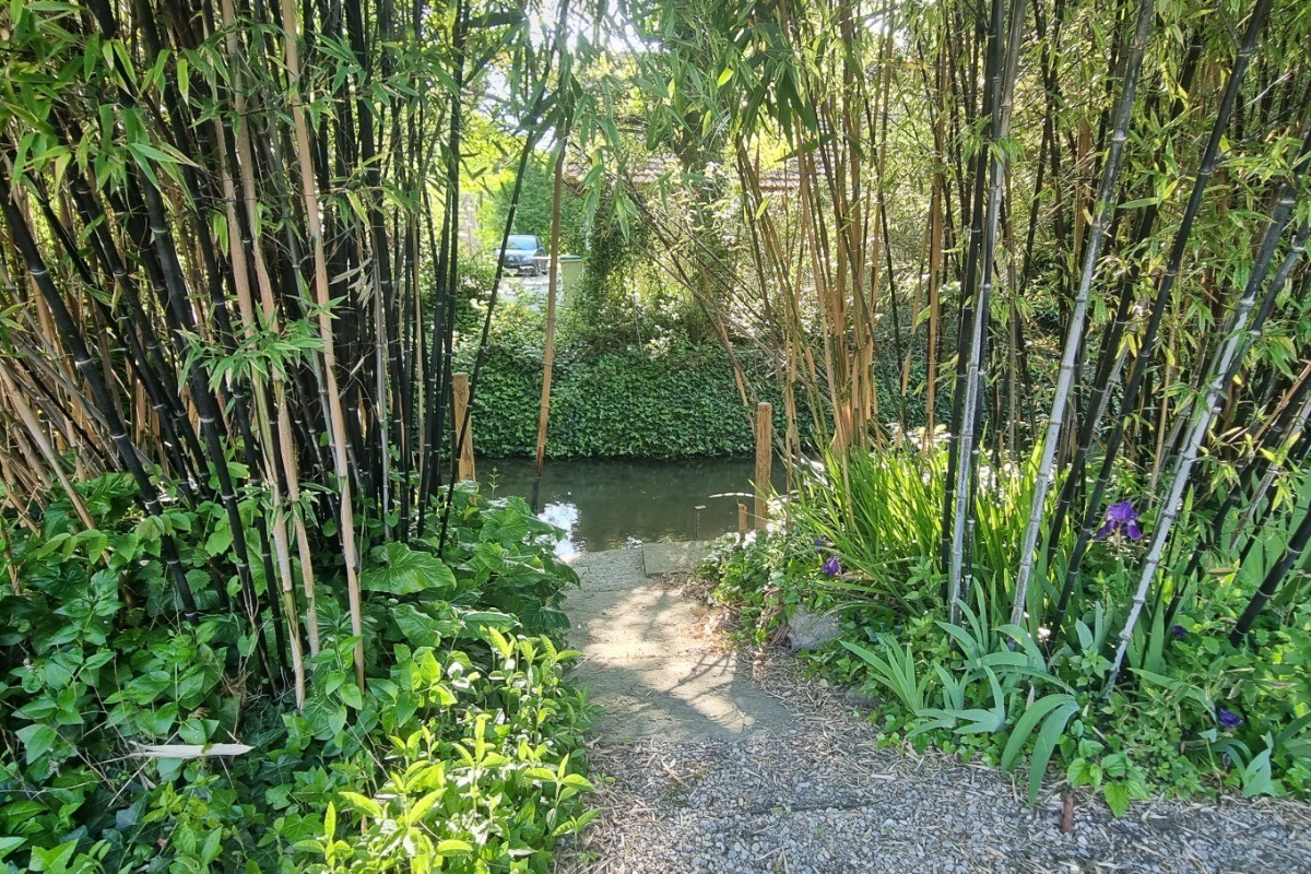 accès au ruisseau