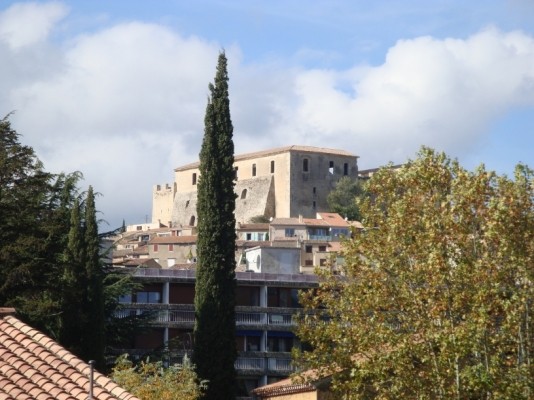 Vue Château La Terrasse du Passy Location de vacances Gréoux-les-Bains