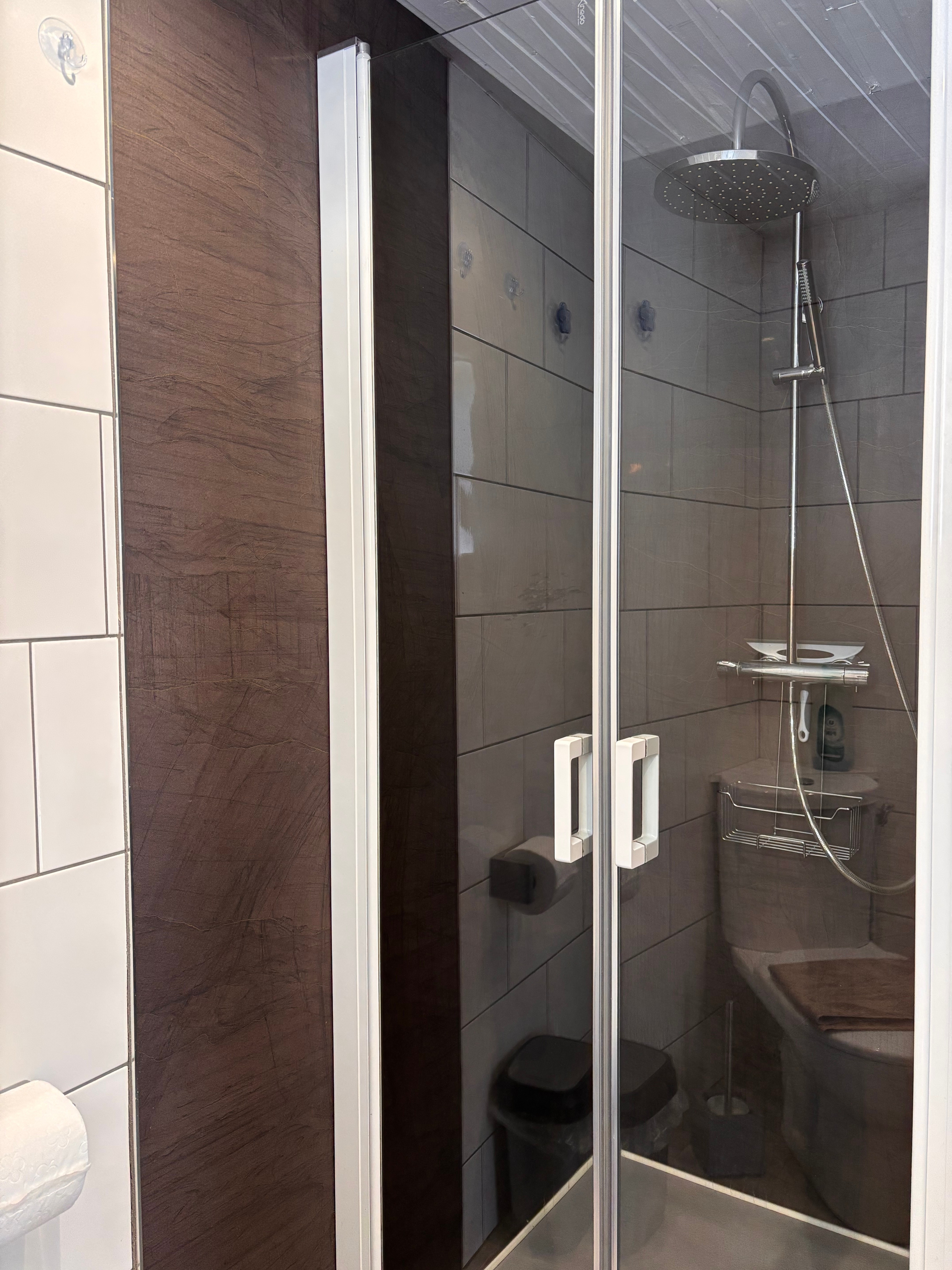 Salle d'eau avec douche  - Chalet Le Piena - La Bresse