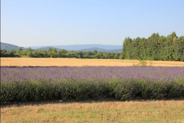 Photo n° 16 de la location