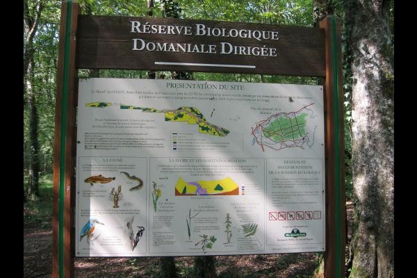 Photo n° 20 de la location