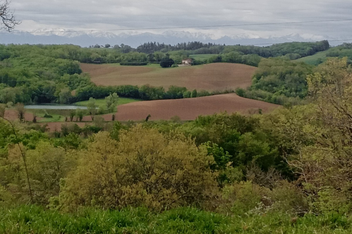 Photo n° 12 de la location