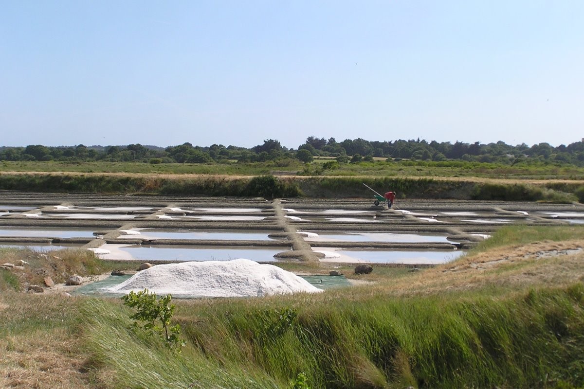 Marais salant