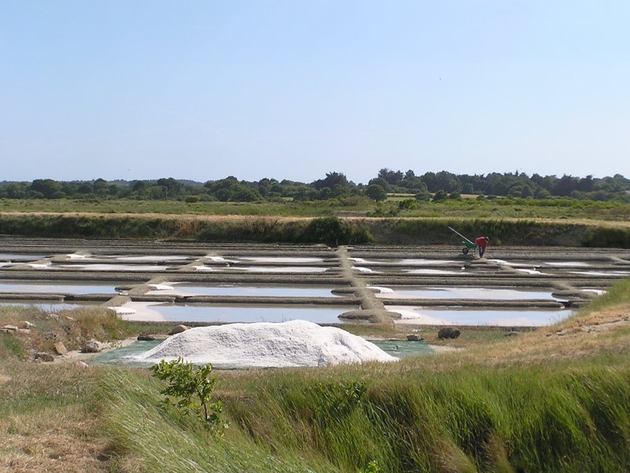 Marais salant