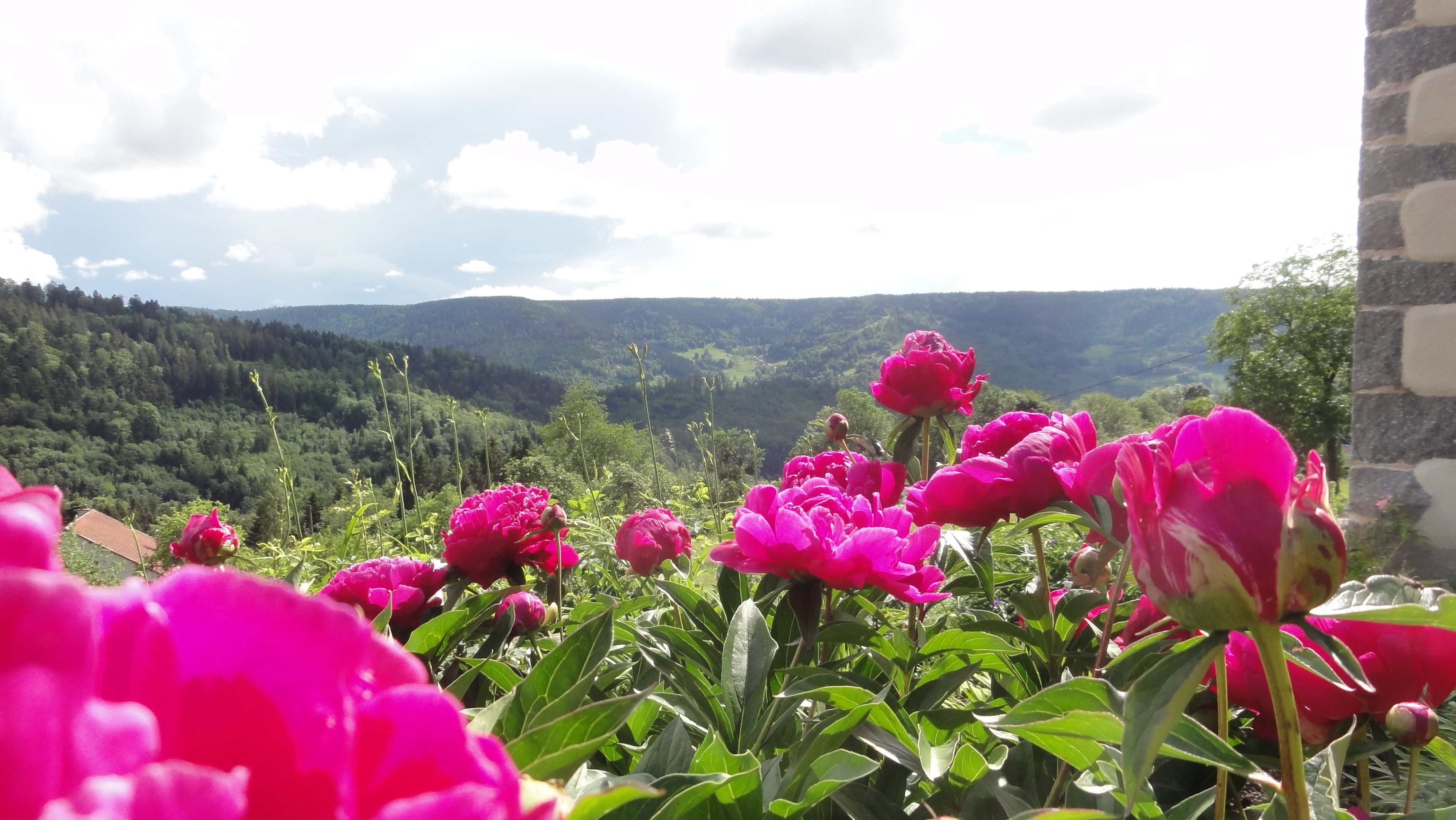 - Gîte "Le Grenier du Roc" ancienne ferme au cœur des Vosges à Basse-sur-le-Rupt