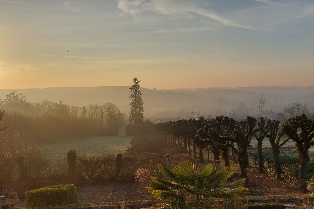 Lever de soleil dans le parc du Domaine de La Gavolerie