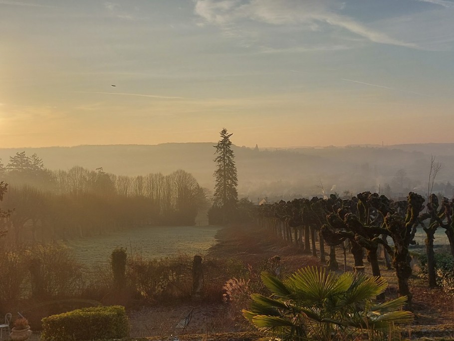 Lever de soleil dans le parc du Domaine de La Gavolerie