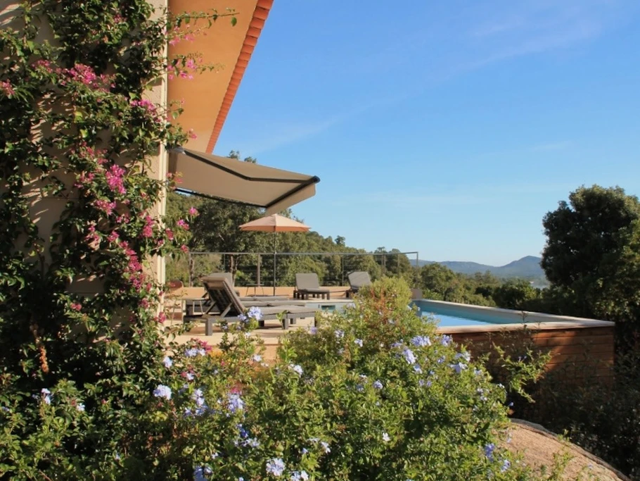 La piscine et le jardin