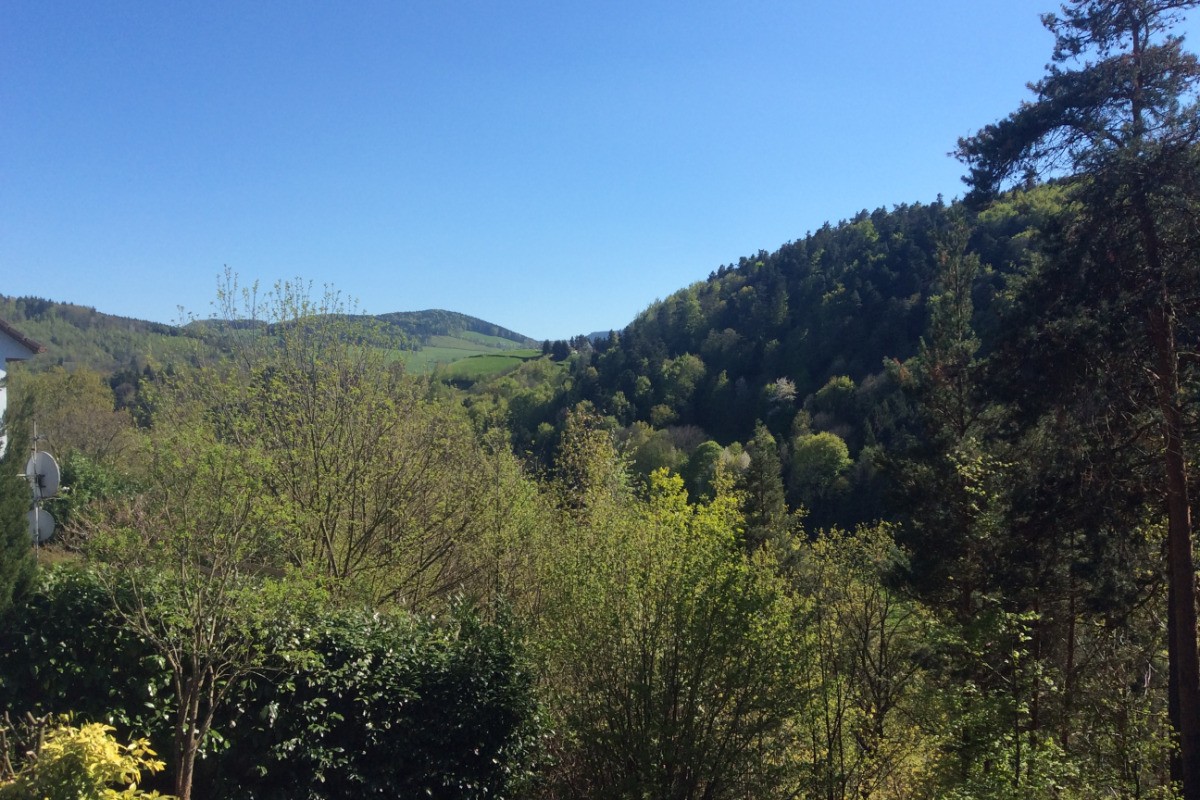 Photo n° 6 of the location