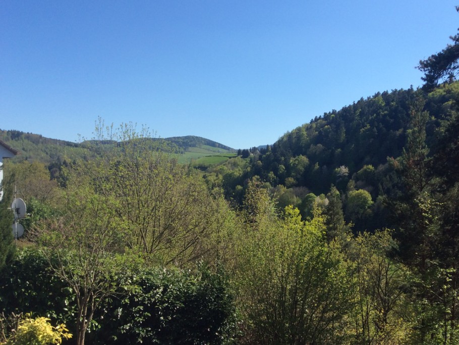 Photo n° 6 of the location