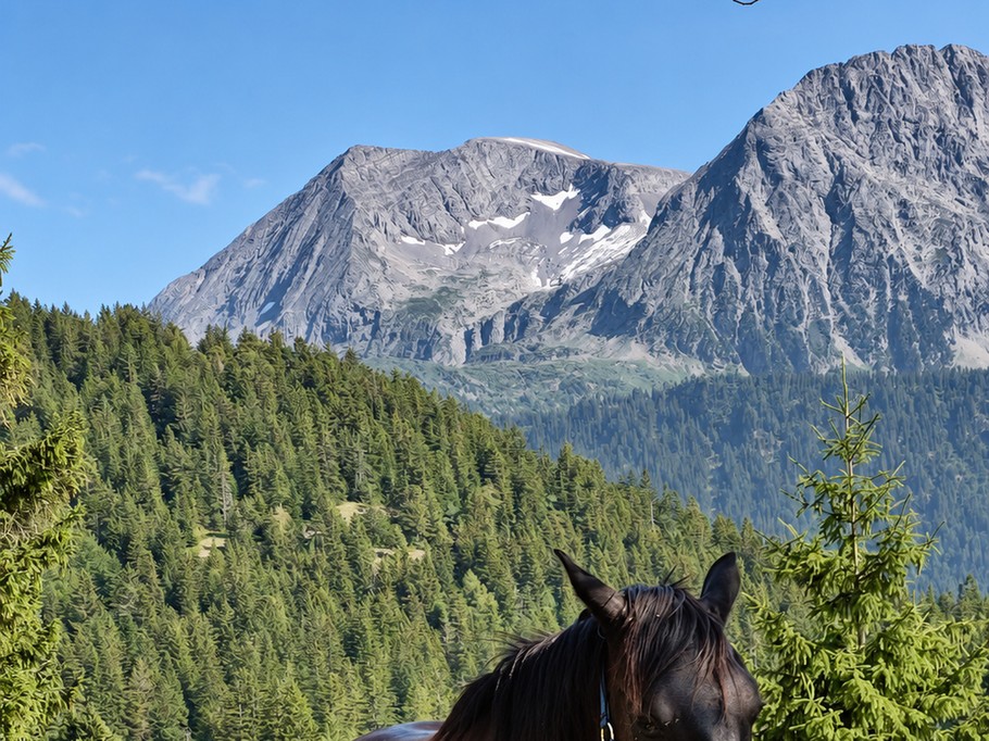 Photo n° 11 de la location
