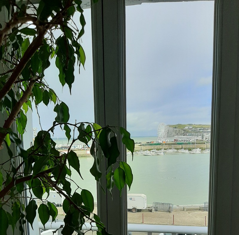 vue depuis le canapé