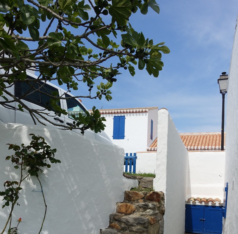 Photo n° 18 de la location