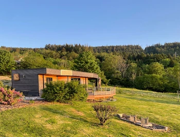 foret - renard - nature cottage vosges