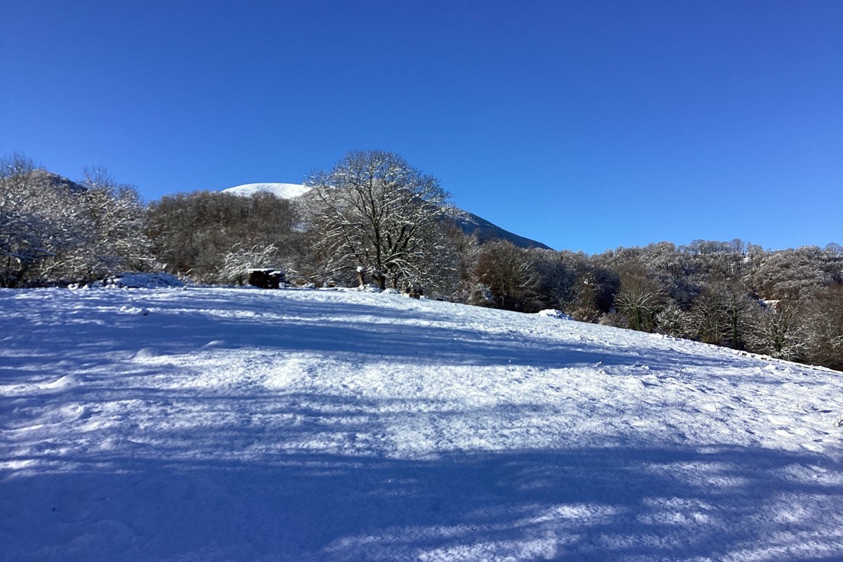 Photo n° 8 de la location