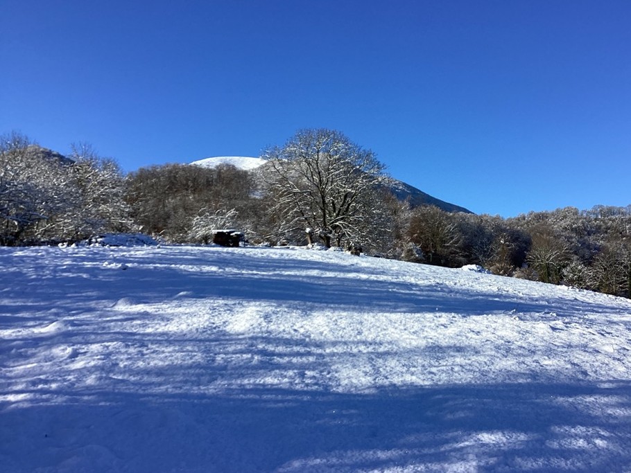 Photo n° 8 of the location