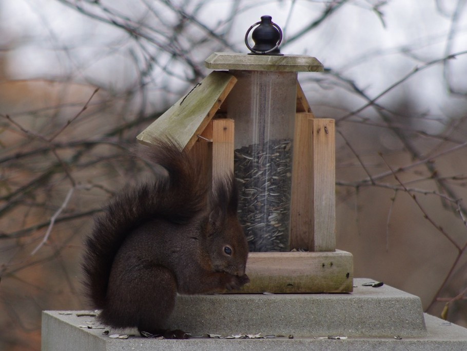 Photo n° 18 of the location