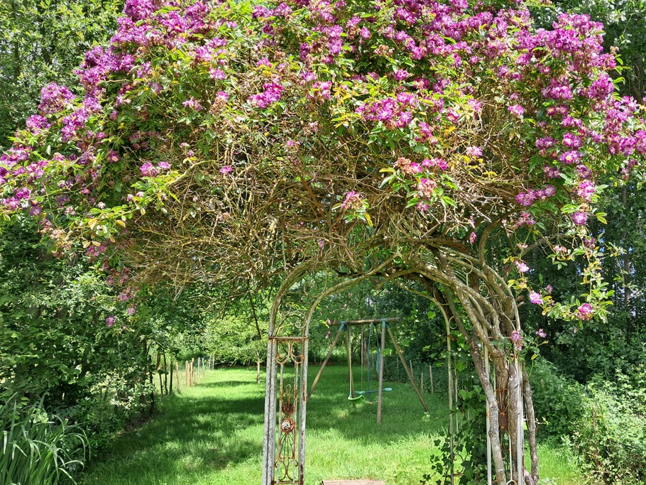 Photo n° 16 de la location