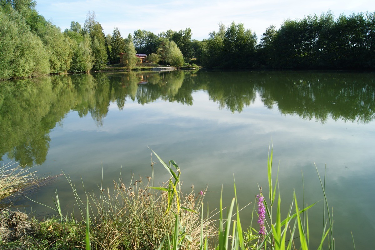 Photo n° 19 of the location