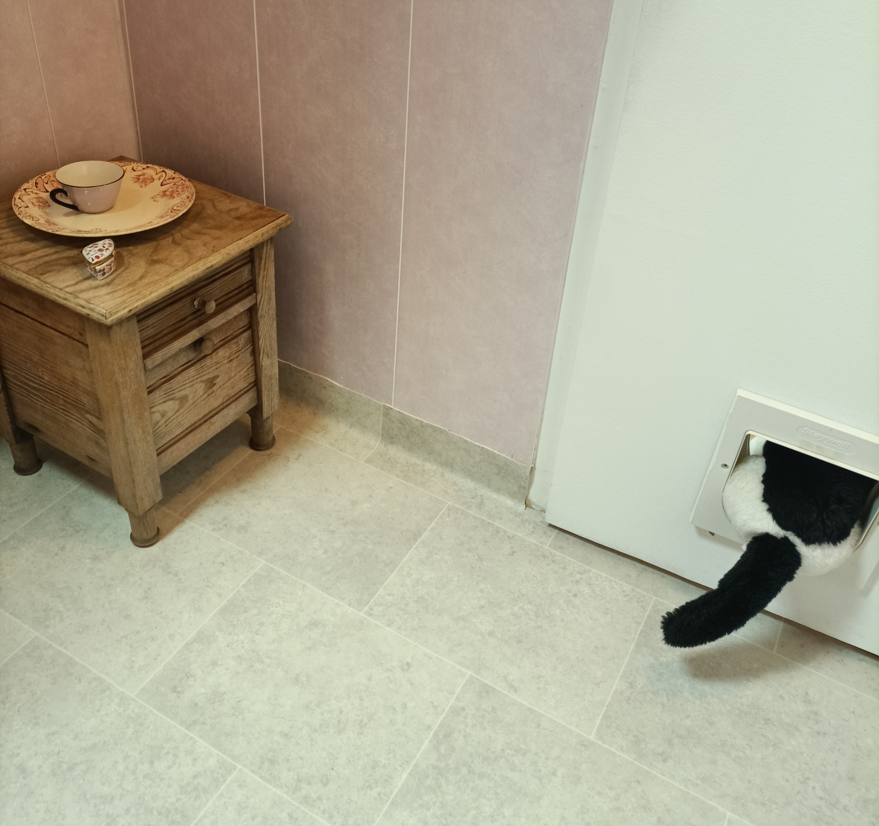 Toilettes roses de la Directrice