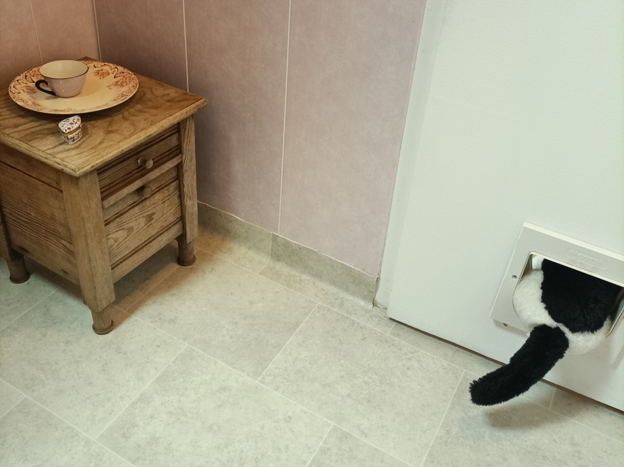 Toilettes roses de la Directrice