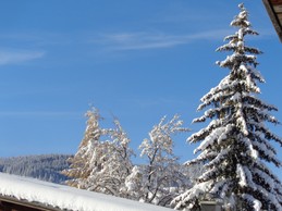 Image n° 2 de la location