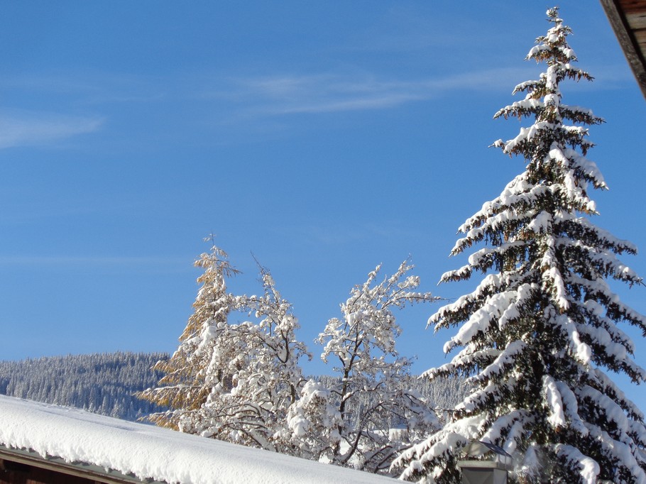 Photo n° 2 of the location