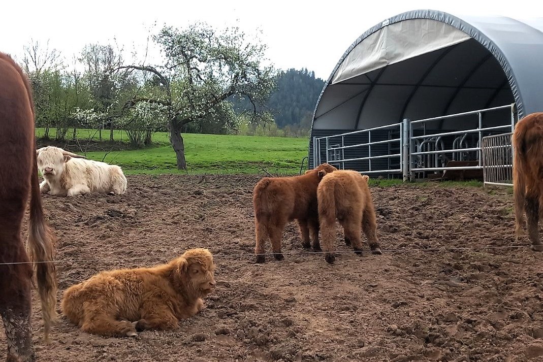A seulement quelques pas du gîte  - Gîte Chez Lucie